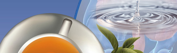 clean-eeze-main